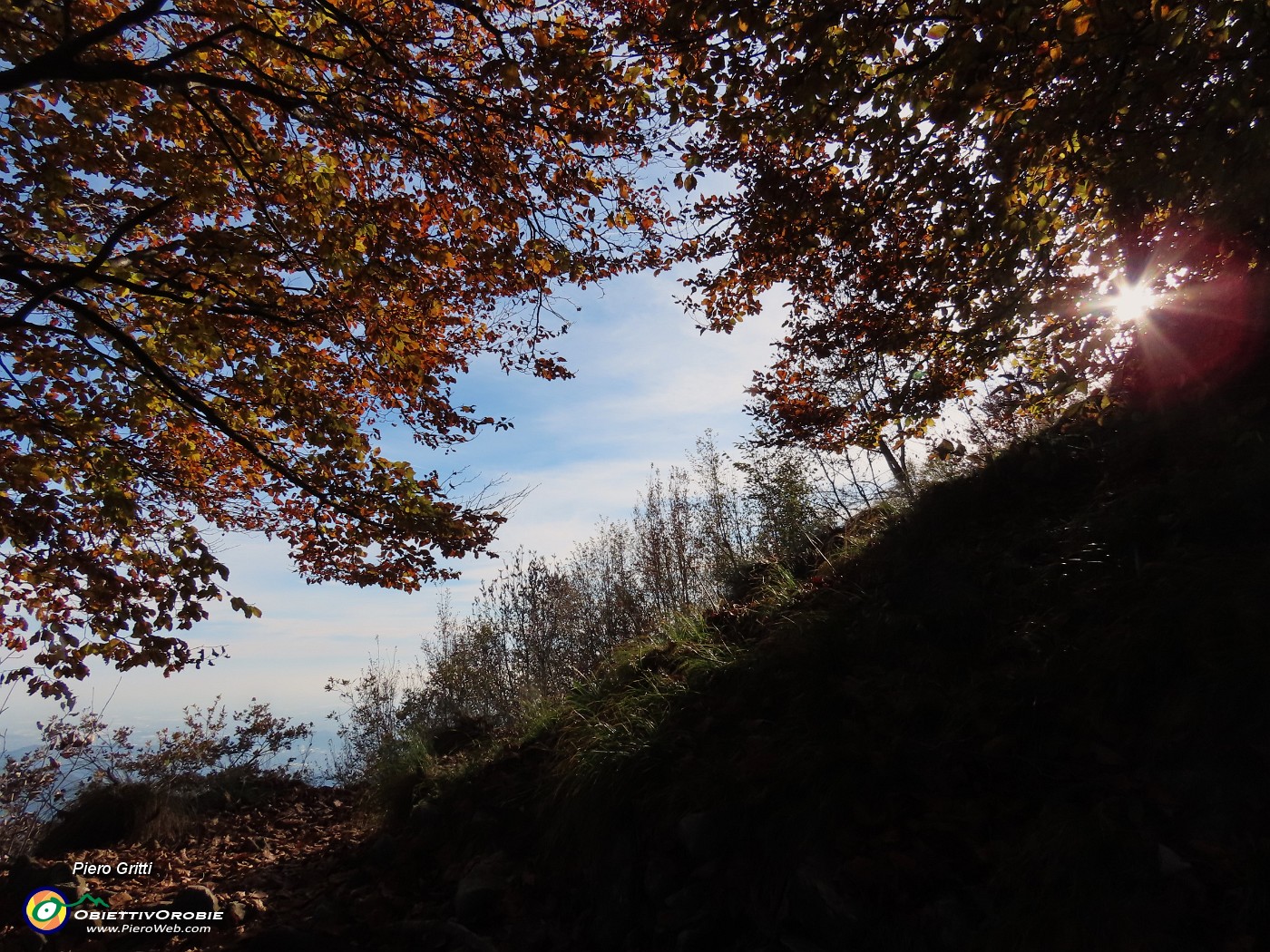 19 Splende il sole tra le piante colorate d'autunno.JPG